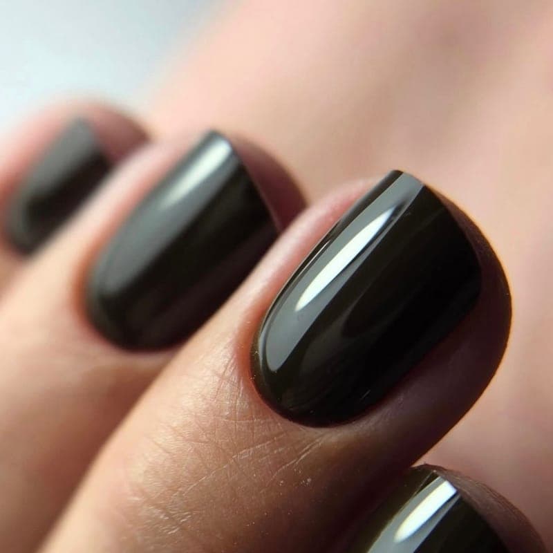 Short nails in a deep glossy chocolate brown