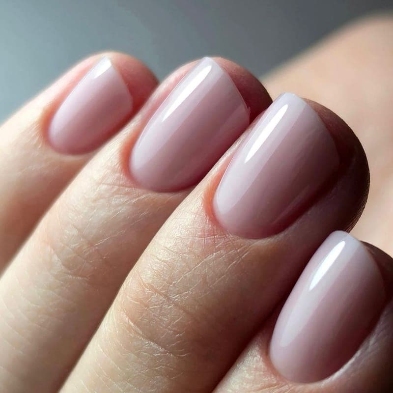 Short nails in a sheer milky pink